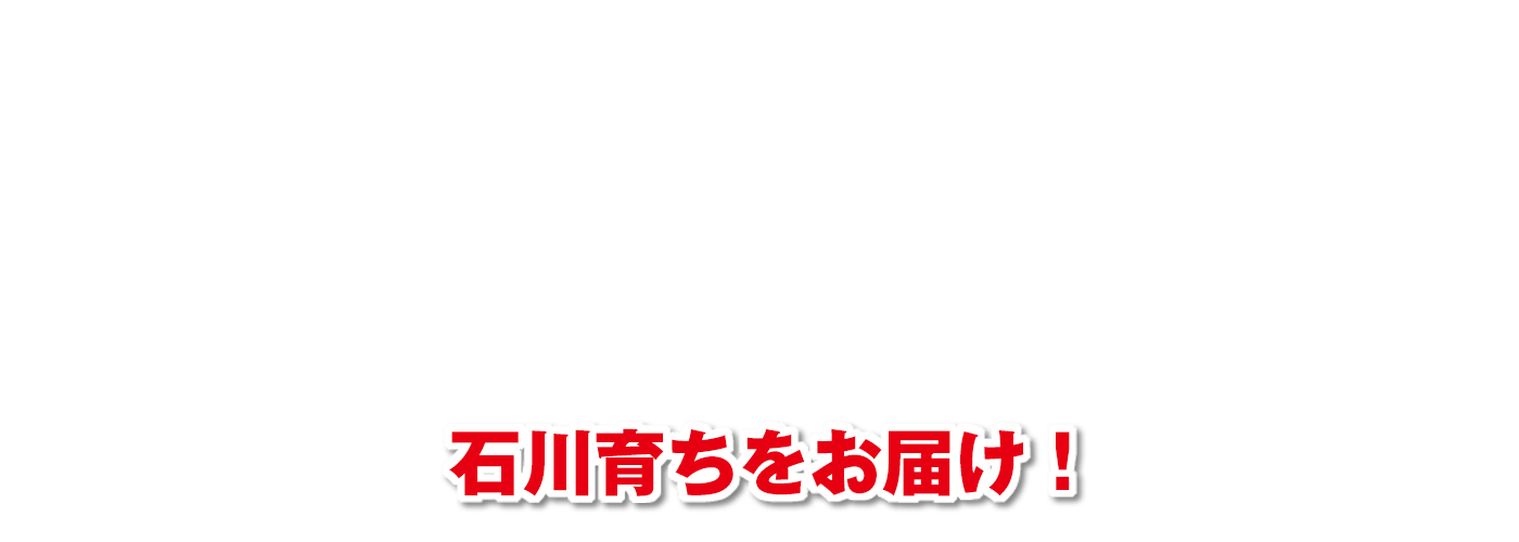 石川育ちをお届け